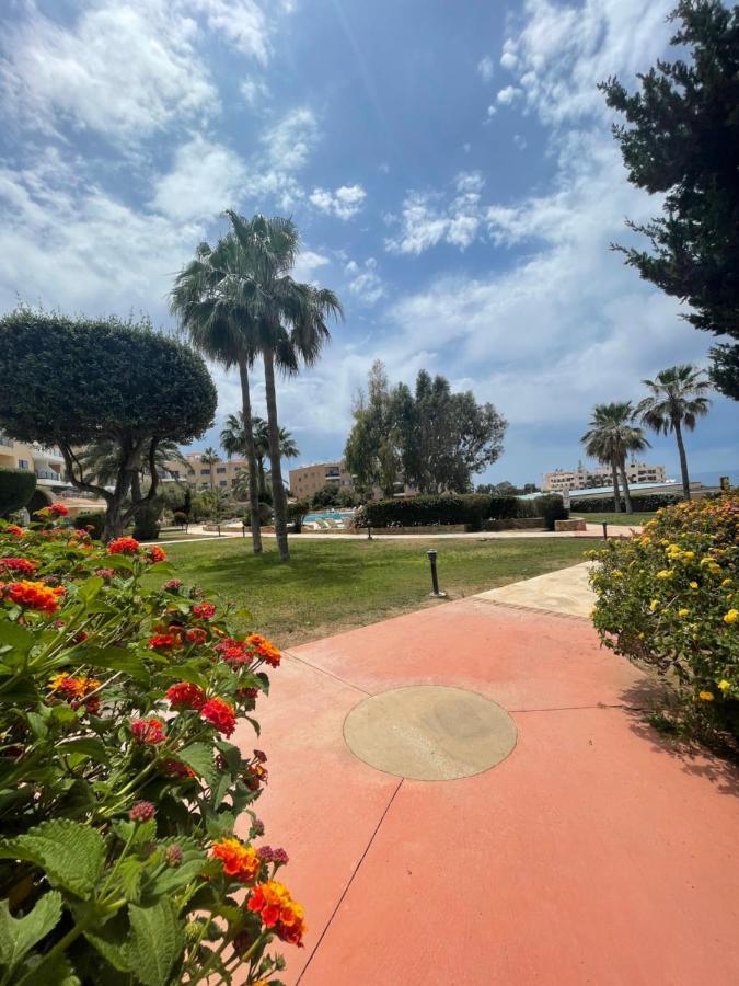 Direct Sea View & Quality Bed - Kings Palace 1 Bed Pafos Dış mekan fotoğraf
